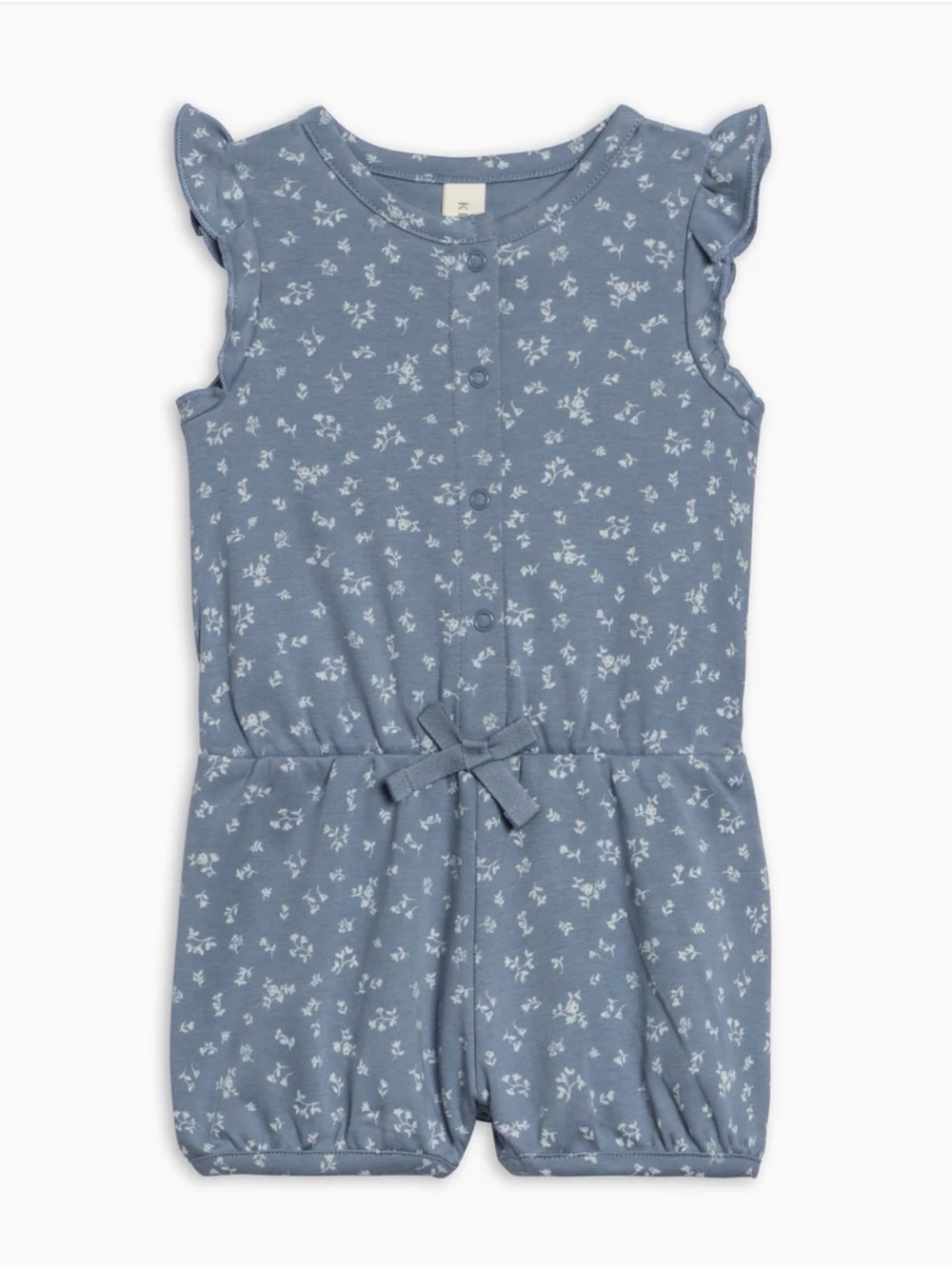 Colored Organics Amelia Blue Floral Romper